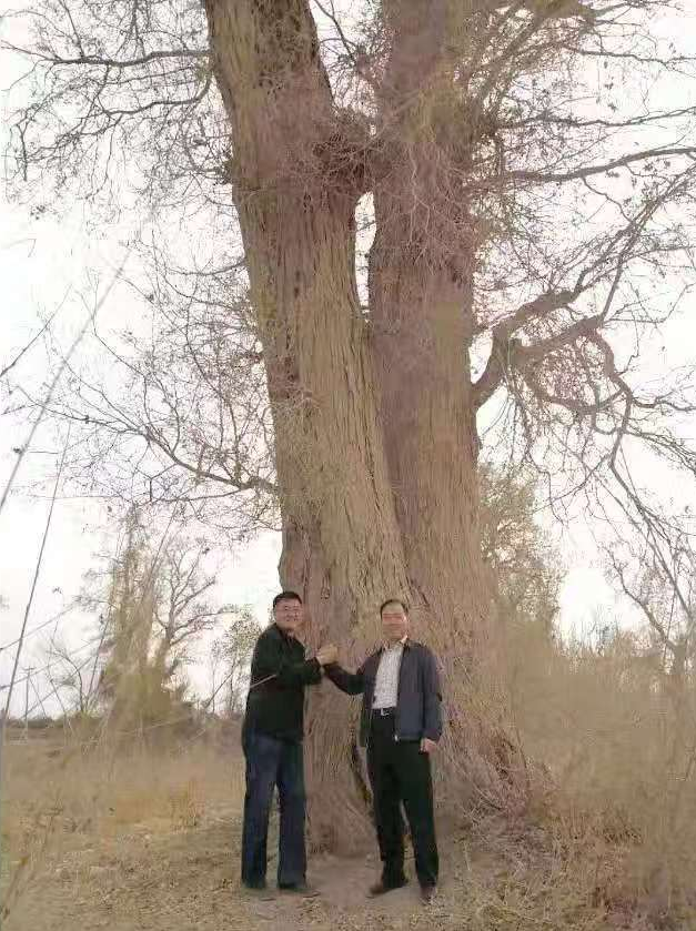 1744342264776.jpg